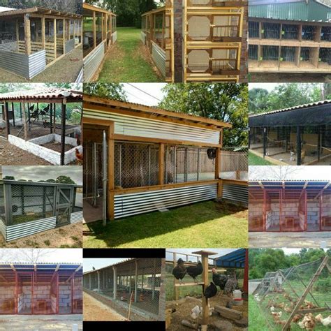 Chicken cages, Poultry farm, House design | Poultry farm buildings, Poultry farm, Shed cost