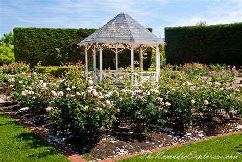 Spring walk in the St Kilda Botanical Gardens | The Nomadic Explorers | Australian Travel Blog