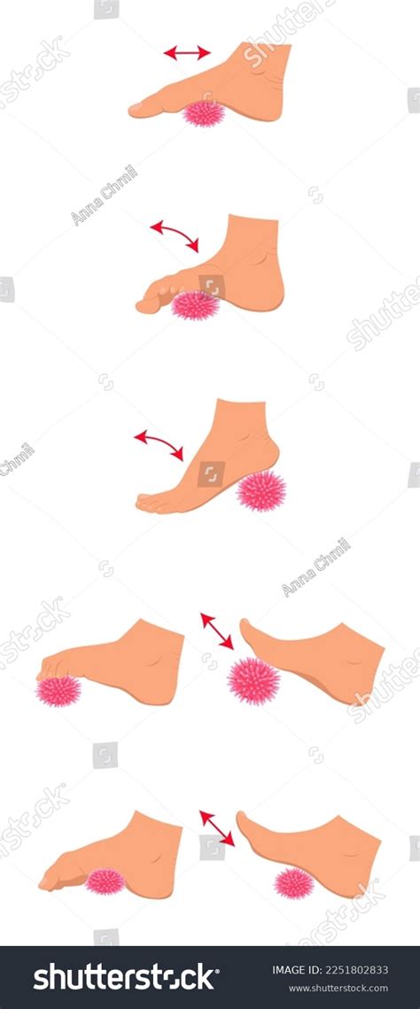 Vector Illustration Set Exercises Myofascial Release Stock Vector ...