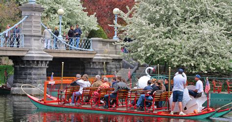 Boston Public Garden Swan Boats 2021 [05/08/21]