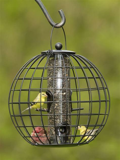 Bird Feeder Cage: Mixed Seed Globe Cage Feeder | Gardeners.com | Bird ...