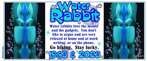 "1903 1963 2023 Chinese zodiac born in year of Water Rabbit " by ...