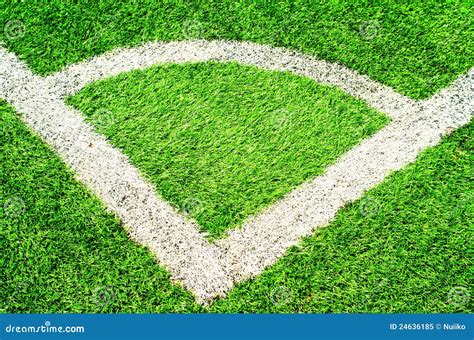 Green grass on the stadium stock image. Image of sport - 24636185