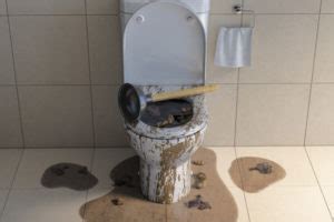 How To Stop An Overflowing Toilet - Robinson Plumbing