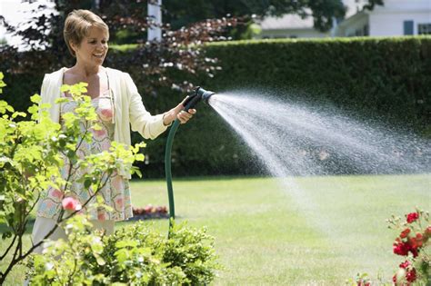 Skimmia Pests