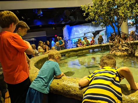 Kid Review: Oklahoma Aquarium - MetroFamily Magazine