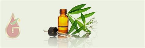 Alpha Terpineol BP/IP/USP – Essential Oils