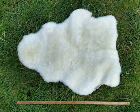 Dorset Down Sheepskin (181) - Tamarisk Farm - West Bexington Nr Bridport