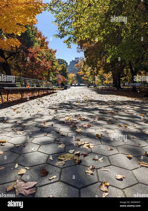 Fall Colors in Toronto Stock Photo - Alamy