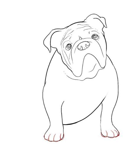 How To Draw A Bulldog Step By Step Easy at Drawing Tutorials