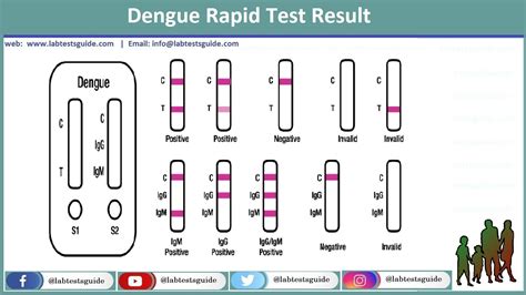 Dengue IgG / IgM Rapid Diagnostic Test | Lab Tests Guide