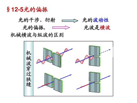 大物复习资料--光的偏振_word文档在线阅读与下载_无忧文档