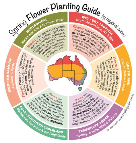 Spring Flowers Planting Guide By Temperate Regional Zones What to grow now | About The Garden ...