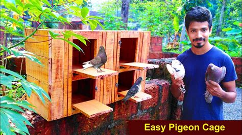 How To Make Pigeon Cage at Home Using Wood | Easy Way To Make Pigeon ...