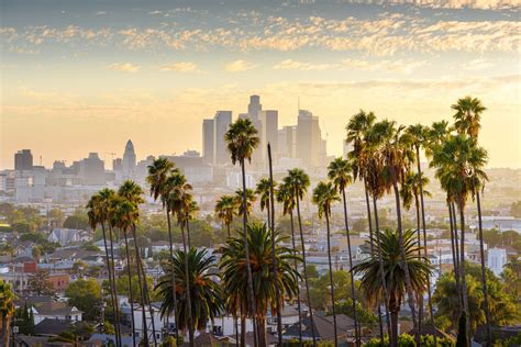 California and the Digital Return of High Culture - The American Mind