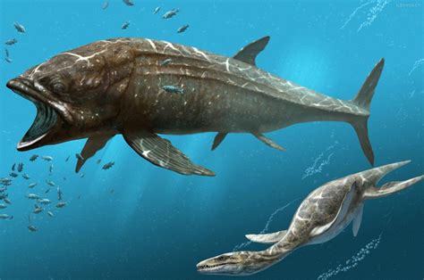 Leedsichthys & Pleiseosaur | Prehistoric, Prehistoric animals, Extinct animals