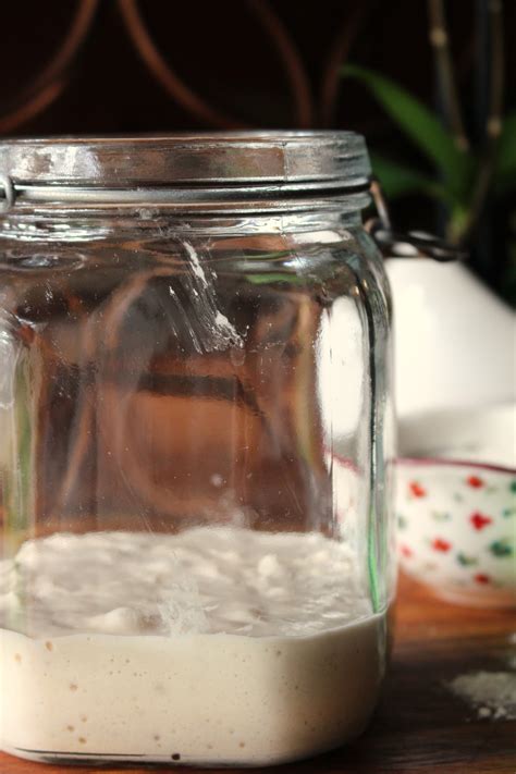 Easy Sourdough Starter - The Kitchen Prescription