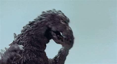 mothra vs godzilla gifs | WiffleGif