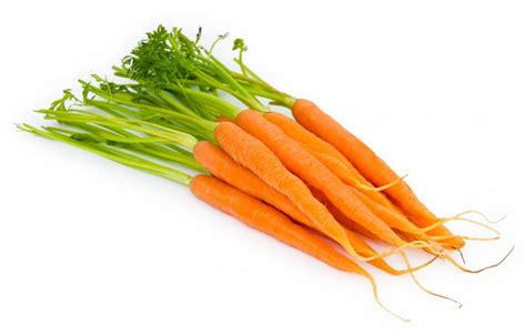 What Does It Mean to Offer a "Carrot and Stick"?