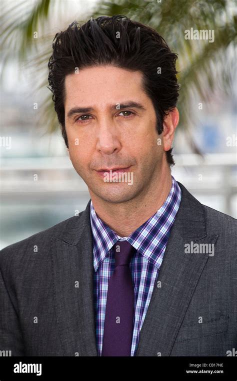 David Schwimmer (actor) at photocall for film 'Madagascar 3: Europe's ...