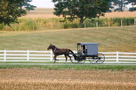 Amish Horse and Buggies in Lancaster’s Amish Country