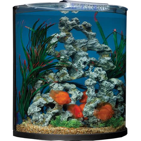 Half-Moon Aquarium Combo Desktop Aquarium, Glass Aquarium, Shimmer Lights, Tetra, Moon Shapes ...