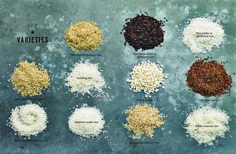 What Are All The Kinds Of Rice? Let's Talk About 19 Of Them.