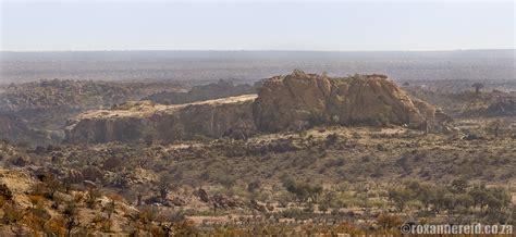 Mapungubwe National Park: everything you need to know - Roxanne Reid ...