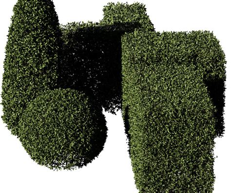 ArtStation - 5 Shaped Boxwood Hedge | Game Assets