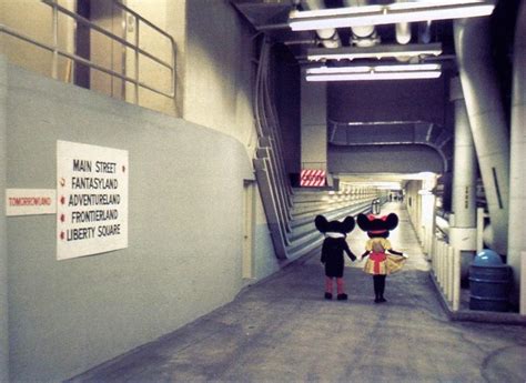 The Underground World of Tunnels Beneath Disney