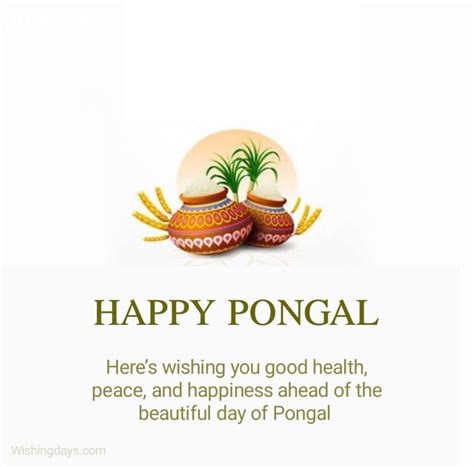 Happy Pongal Wishes 2025 Quotes, Images, Messages, - Wishing Days