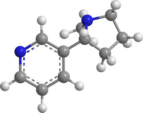 Nicotine,molecule chemistry,organic chemistry,3d,neurotransmitter - free image from needpix.com