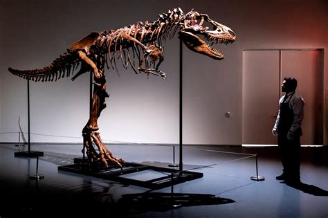 Skeleton of a Gorgosaurus Sells at Auction for $6.1 Million - The New York Times