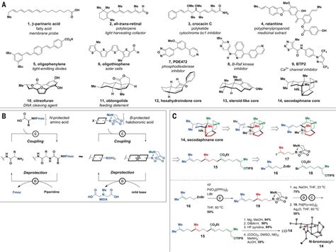 Synthesis of many different types of organic small molecules using one automated process | Science