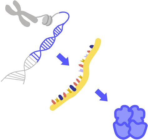 Genome Advisory - Resources