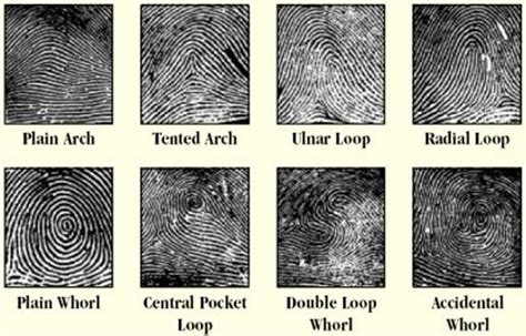 Biometrics - Fingerprint Identification