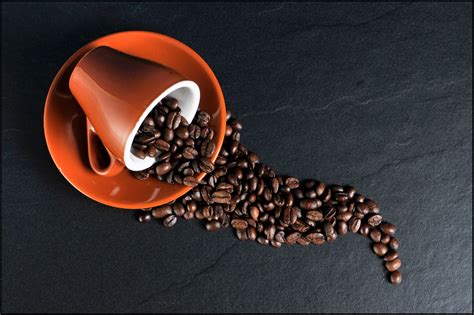 Cup And Coffee Beans Free Stock Photo - Public Domain Pictures