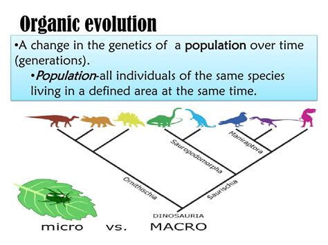 PPT - Chapter 3 Evolution, Systematics and Phylogeny PowerPoint ...