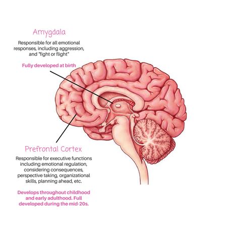 Executive Functions: What They Are, and Exercises to Strengthen Them