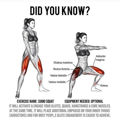 Workout Tips Sumo squat benefits... | Sumo squats, Benefits of squats ...