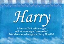 Harry Name Meaning - Harry name Origin, Name Harry, Meaning of the name Harry, Baby Name Harry ...