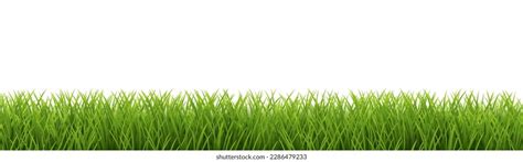 Grass Border White Background Isolated Background Stock Illustration 2286479233 | Shutterstock