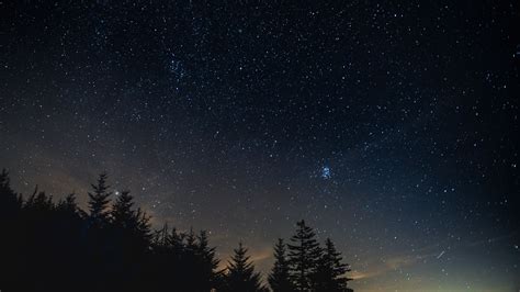 starry sky, night, trees, night landscape, 4k HD Wallpaper