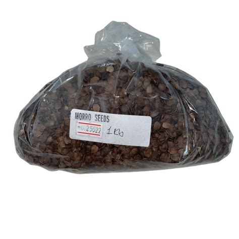 Morro Seeds 1Lb | Horizonte Group