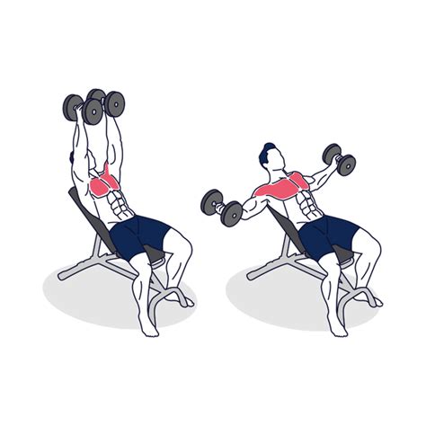 Incline Dumbbell Fly Exercise Benefits, How-to Guide & Alternatives ...