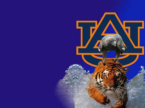 Auburn Tigers Football Wallpaper HD | PixelsTalk.Net