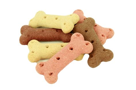 Multi Flavour Biscuit Bone Dog Treats