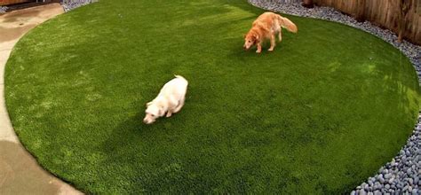 Get the Best Artificial Pet Grass for Dogs and Cats | Shop Now!