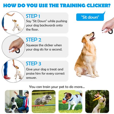 How To Use A Dog Clicker Correctly