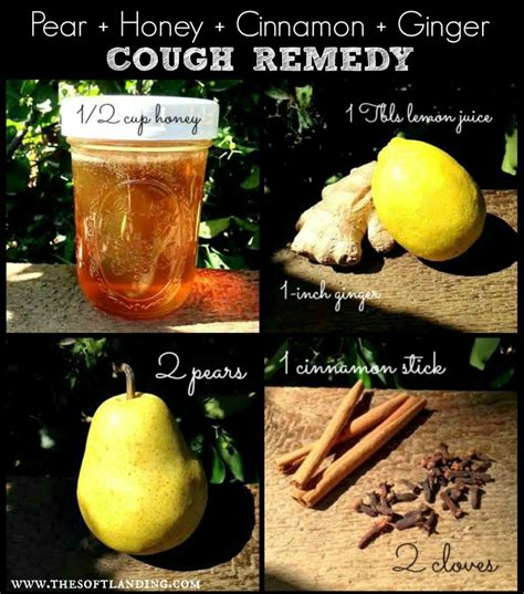 Natural Cough Remedy: Honey & Cinnamon Poached Pears in 2020 | Natural ...